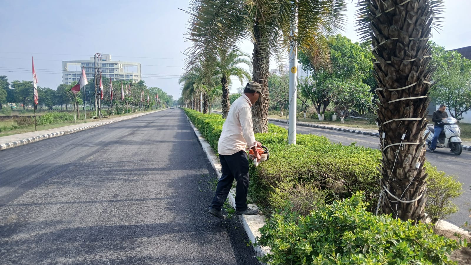 100ft main road